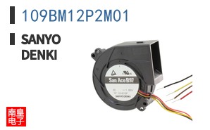 109BM12P2M01