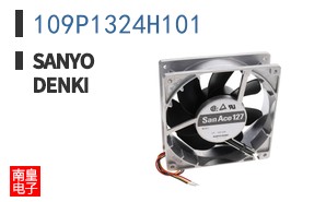 109P1324H101