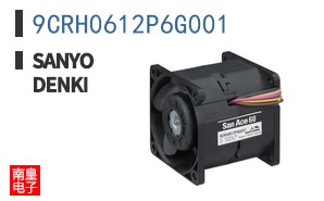 9CRH0612P6G001