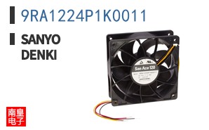 9RA1224P1K0011
