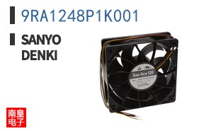 9RA1248P1K001