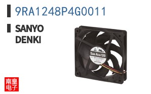9RA1248P4G0011