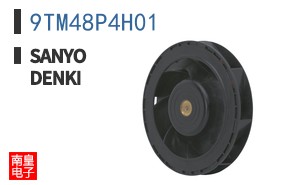 9TM48P4H01