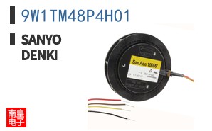 9W1TM48P4H01