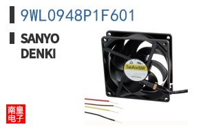 9WL0948P1F601