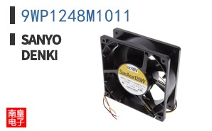 9WP1248M1011