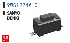 9WS1224M101