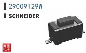 29009129W