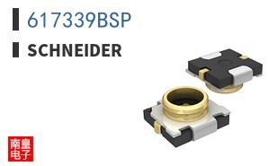 617339BSP