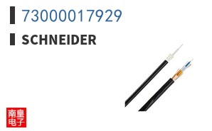 73000017929