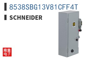 8538SBG13V81CFF4T