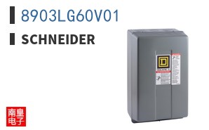 8903LG60V01