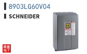8903LG60V04