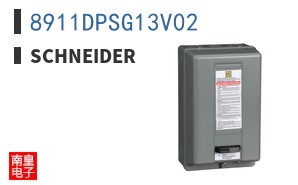 8911DPSG13V02