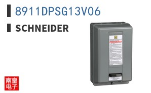 8911DPSG13V06