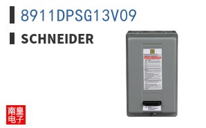 8911DPSG13V09