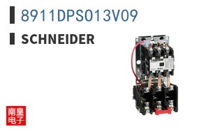 8911DPSO13V09
