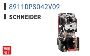 8911DPSO42V09