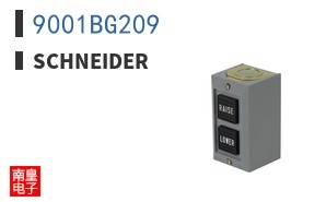 9001BG209