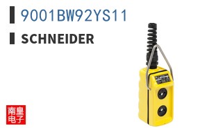 9001BW92YS11
