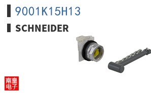 9001K15H13