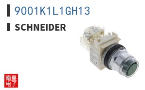 9001K1L1GH13