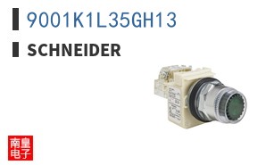 9001K1L35GH13