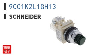 9001K2L1GH13