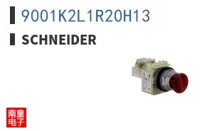 9001K2L1R20H13