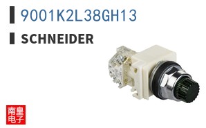 9001K2L38GH13