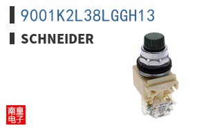 9001K2L38LGGH13