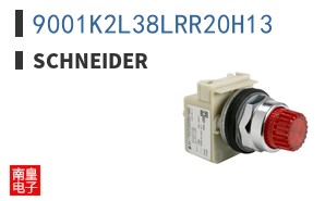 9001K2L38LRR20H13