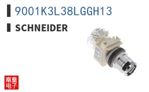 9001K3L38LGGH13