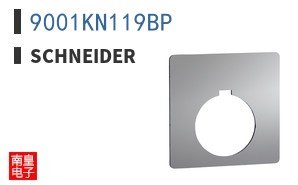 9001KN119BP
