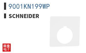 9001KN199WP