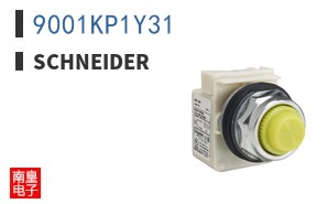 9001KP1Y31