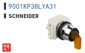 9001KP38LYA31