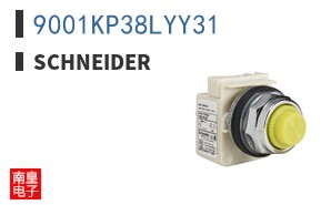 9001KP38LYY31