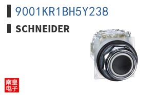 9001KR1BH5Y238
