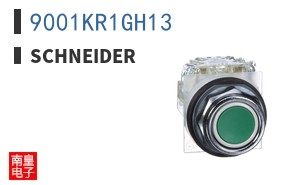 9001KR1GH13