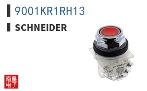 9001KR1RH13