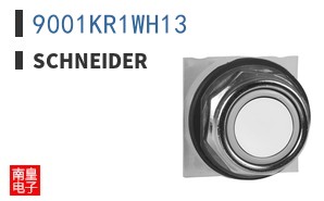 9001KR1WH13