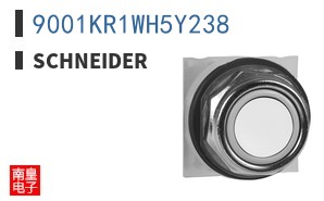 9001KR1WH5Y238