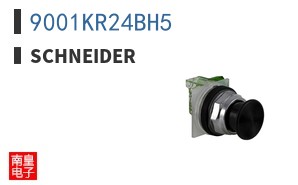 9001KR24BH5