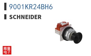 9001KR24BH6