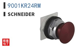 9001KR24RM