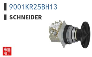 9001KR25BH13