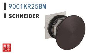 9001KR25BM