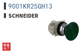 9001KR25GH13