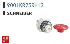 9001KR25RH13